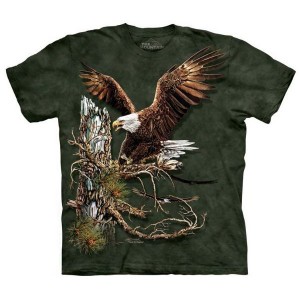 Find-12-Eagles